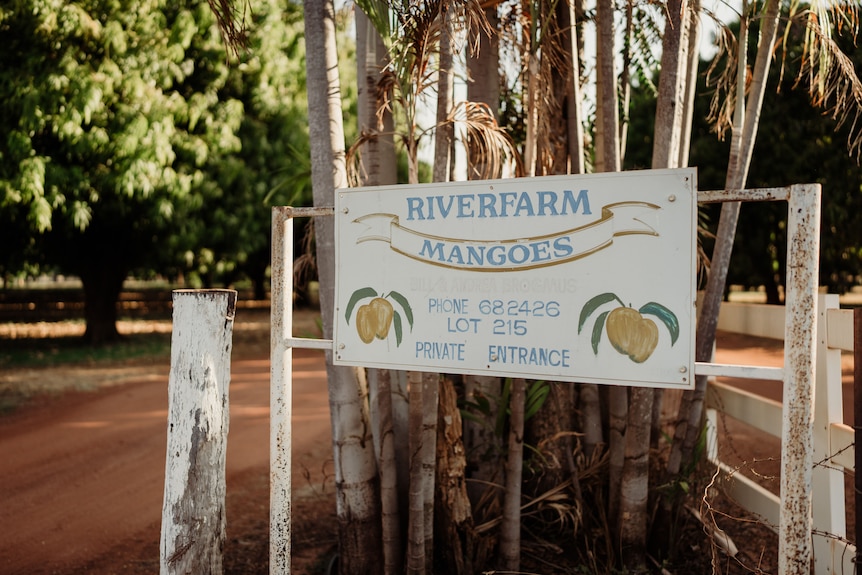 A sign for Riverfarm Mangoes sits at an open gate with red dirt and mango trees
