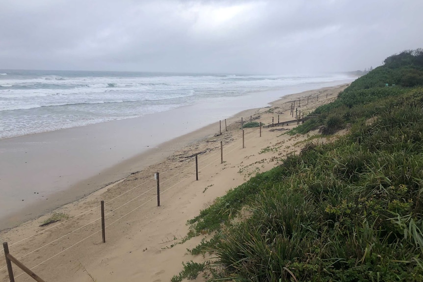 A fence near the dune on Old Bar Beach near Taree.
