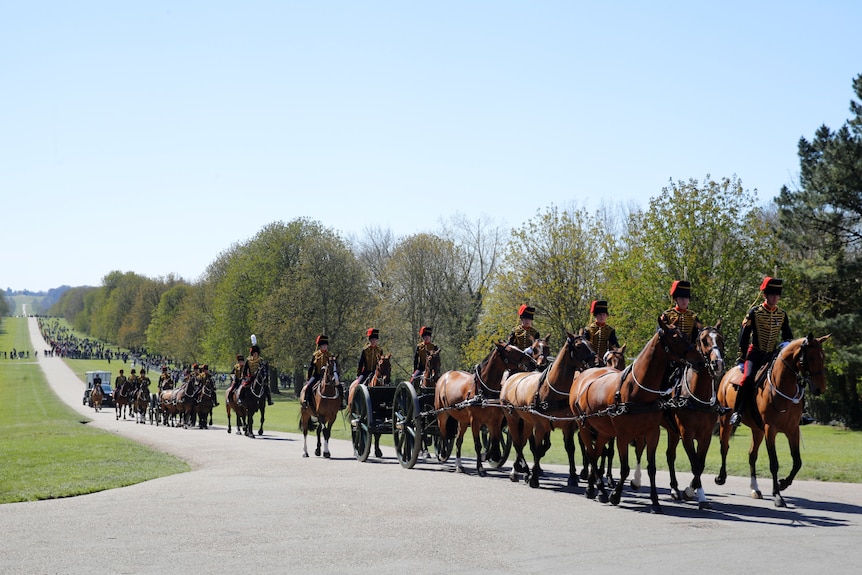 On a clear day, you view a troop of horses marching down a long driveway through Windsor Castle.