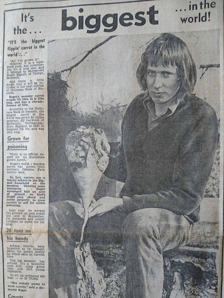Mercury article from 1973 about Roger Bignell's giant carrot