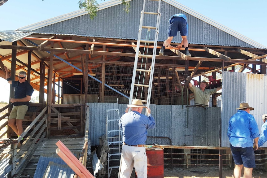 Several workers repair an old woolshed at a Longreach property.