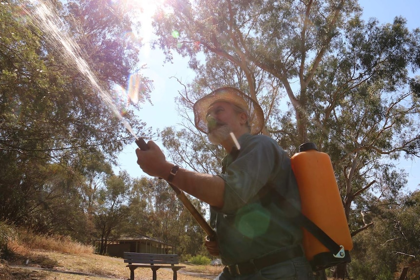 A man sprays water at trees