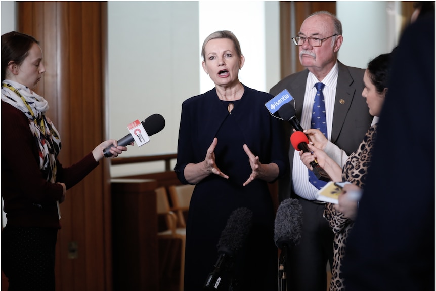 Sussan Ley and Warren Entsch speaking on the UNESCO proposal to list Australia's Great Barrier Reef as "in danger".