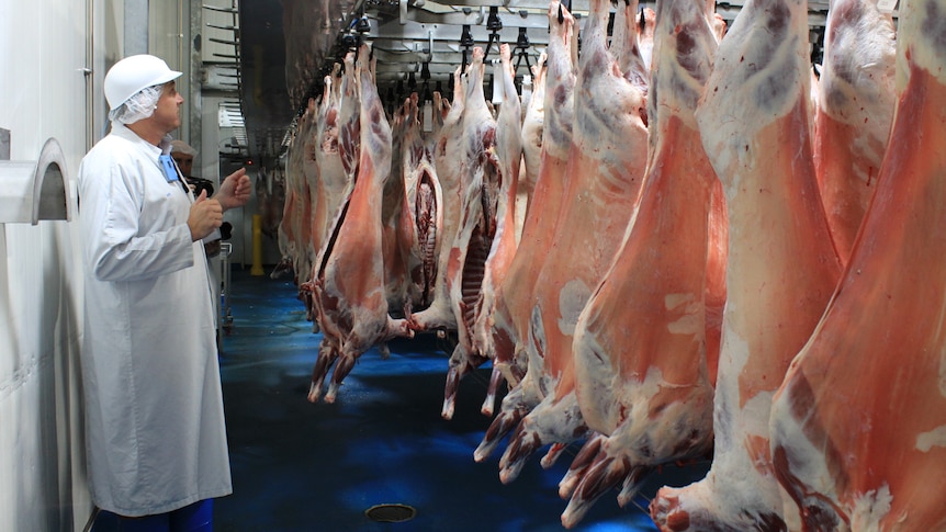 A man in a white coat stands in front of rows of lamb carcases
