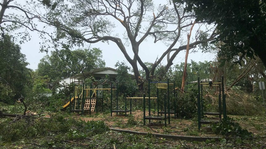 A playground littered with fallen trees and branches.