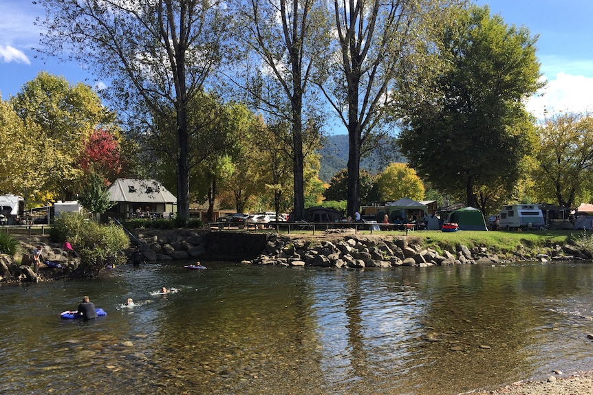 Some people swim in a river beside a camping ground in lush gardens.