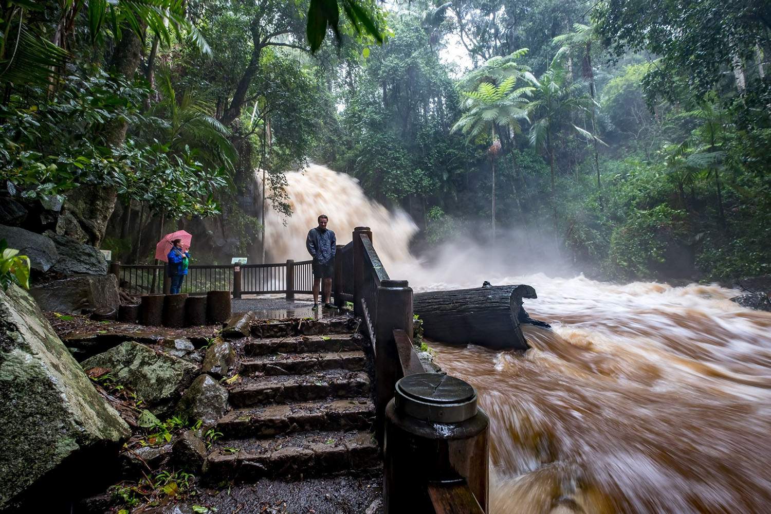 Gold Coast Hinterland Residents Call For Tamborine Mountain Bus Service   9c5c4e6bec6750a740aa7072b06985ac