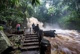 Flooded Curtis Falls on Mount Tamborine during a deluge on February 13, 2020.