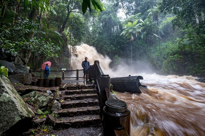 Flooded Curtis Falls on Mount Tamborine during a deluge on February 13, 2020.
