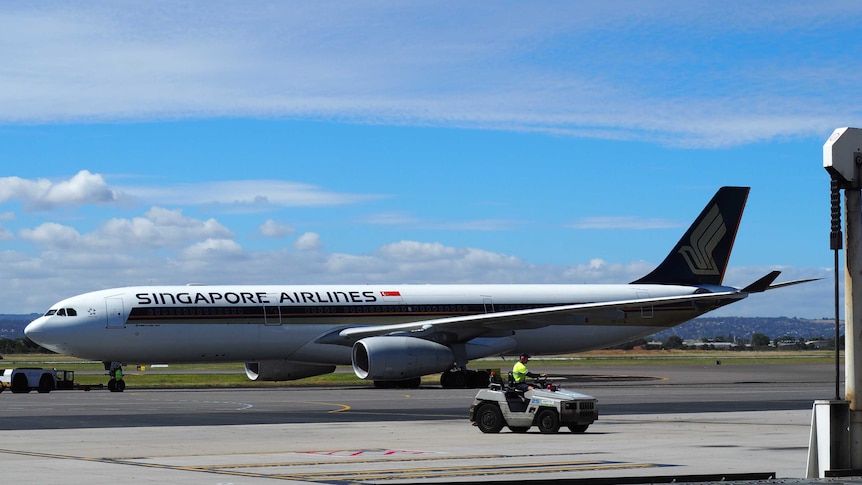 A Singapore Airlines plane on the tarmac at Adelaide Airport.