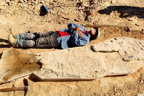 man lies down next to fossil