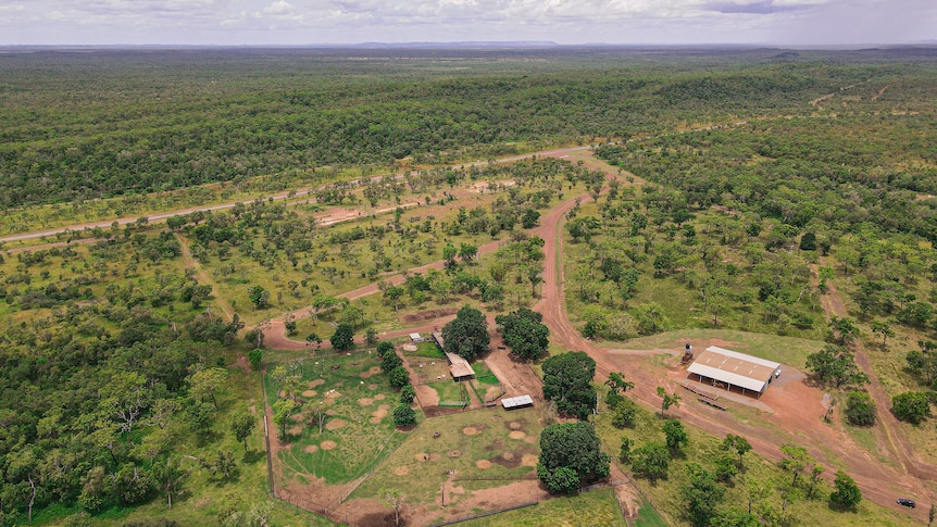 An aerial photo of a cattle property's yards.