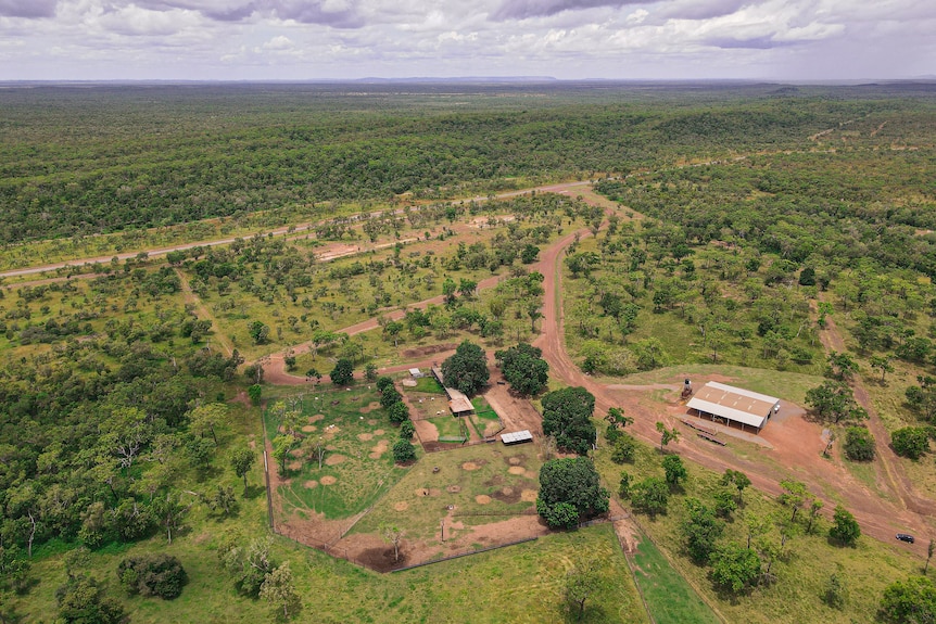 an aerial photo of a cattle property's yards.
