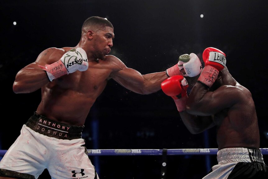 Anthony Joshua lands a left-handed punch on Carlos Takam during their world title bout in Cardiff.