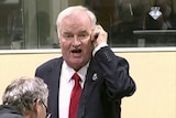 Bosnian Serb military chief Ratko Mladic appears to yell during an outburst in the courtroom