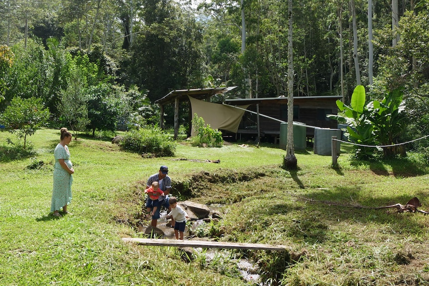 A family plays in a creek with bush and a cabin in the background.