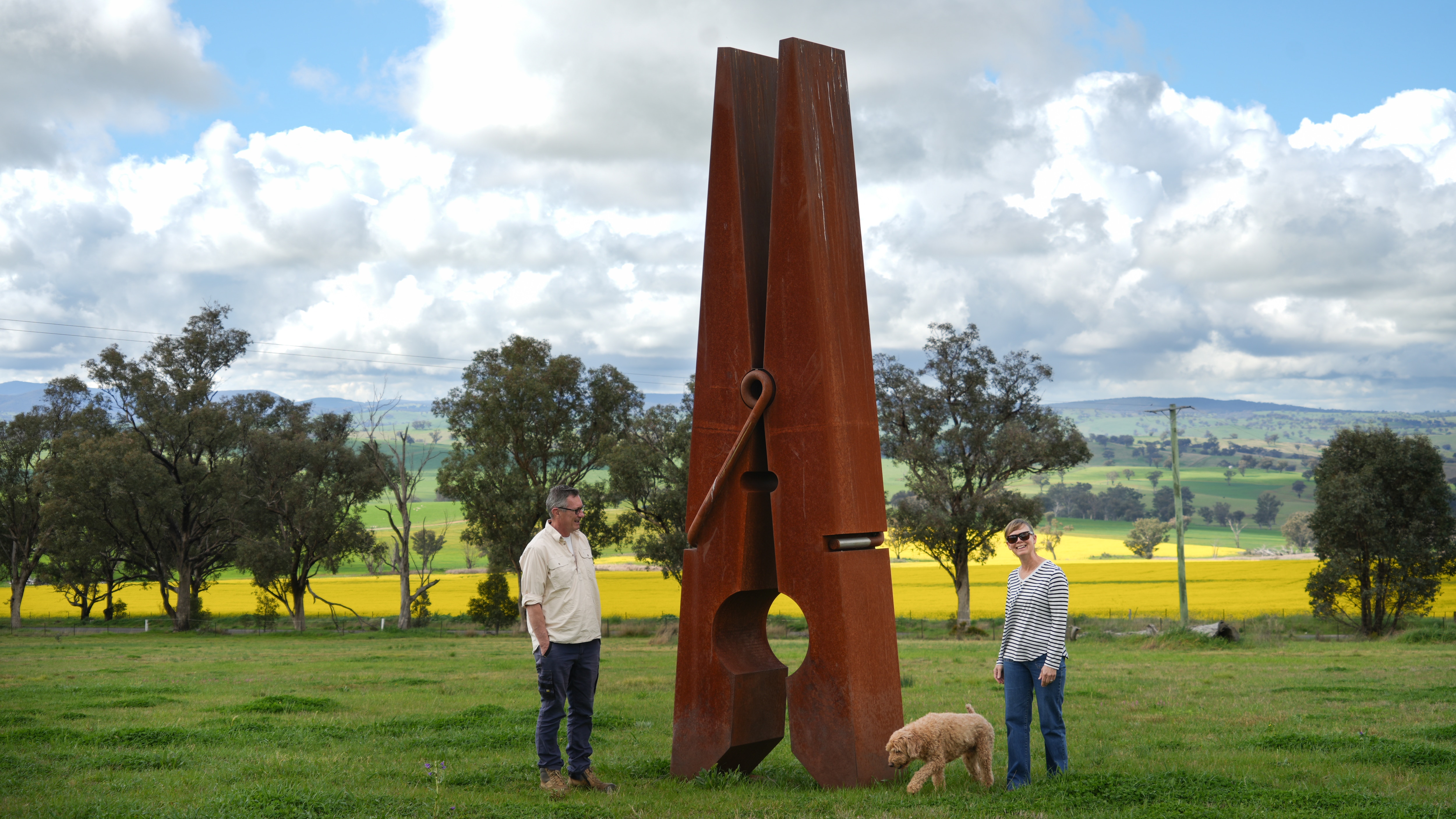Home for sale with 5-metre clothes peg in front paddock