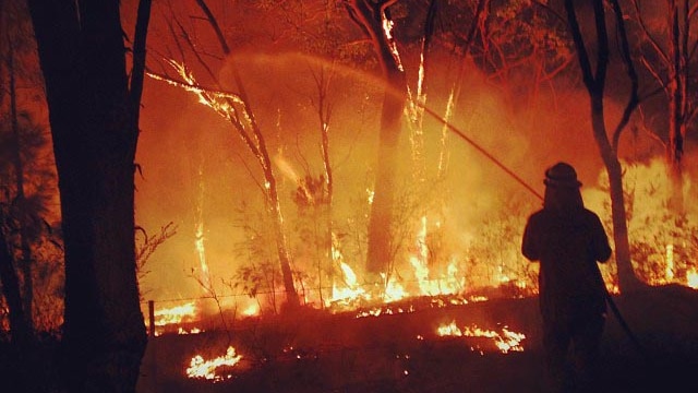 A firefighter battles a bushfire at Warrimoo in the Blue Mountains west of Sydney.