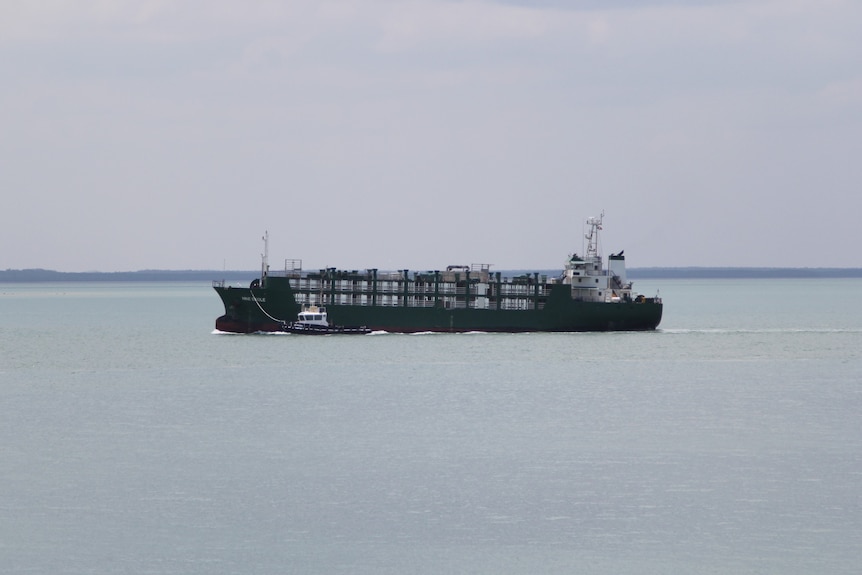 a live export ship being guided into port by a tug boat.