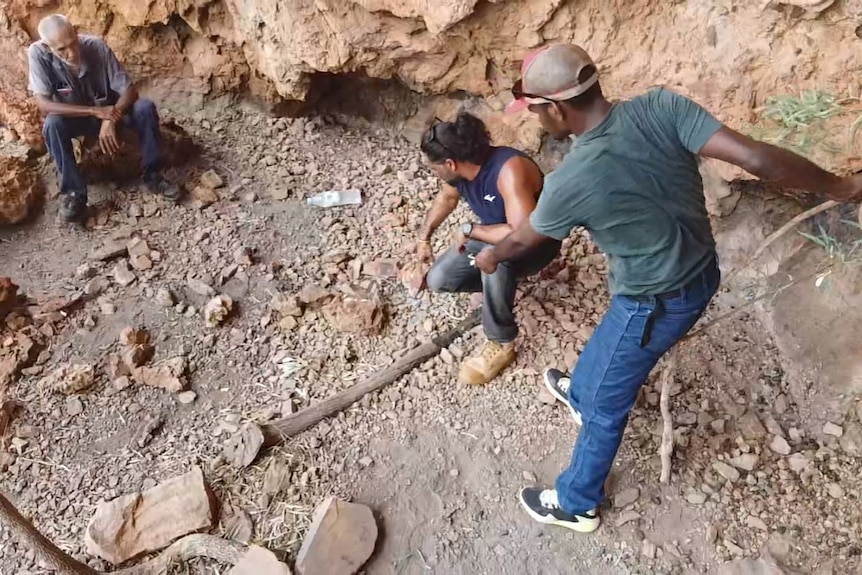 A photo showing three people in the bush pointing while another looks on.