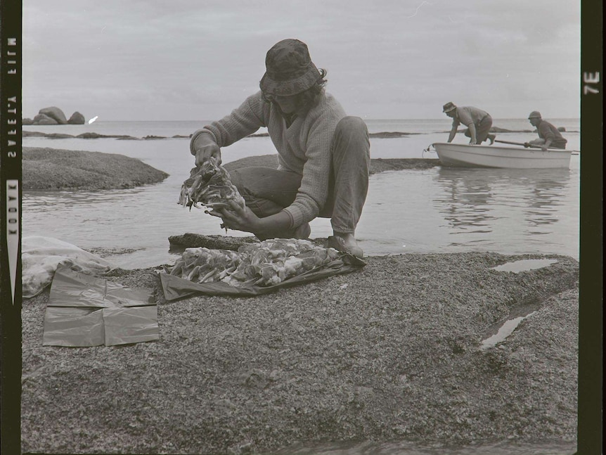 Mutton-birders, north west Tasmania