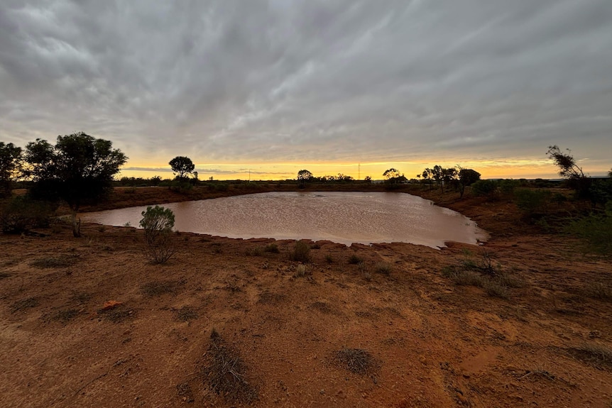 A dam filled with water as the sun sets at Reola Station north-east of Broken Hill. 