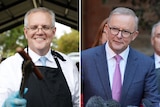A composite image of Morrison smiling while holding up a sausage and Albanese smiling while speaking to media