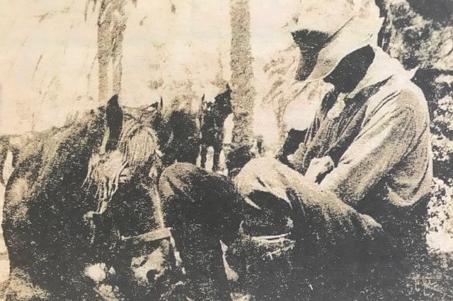 Major Shanahan and Bill the Bastard sleeping under a date palm