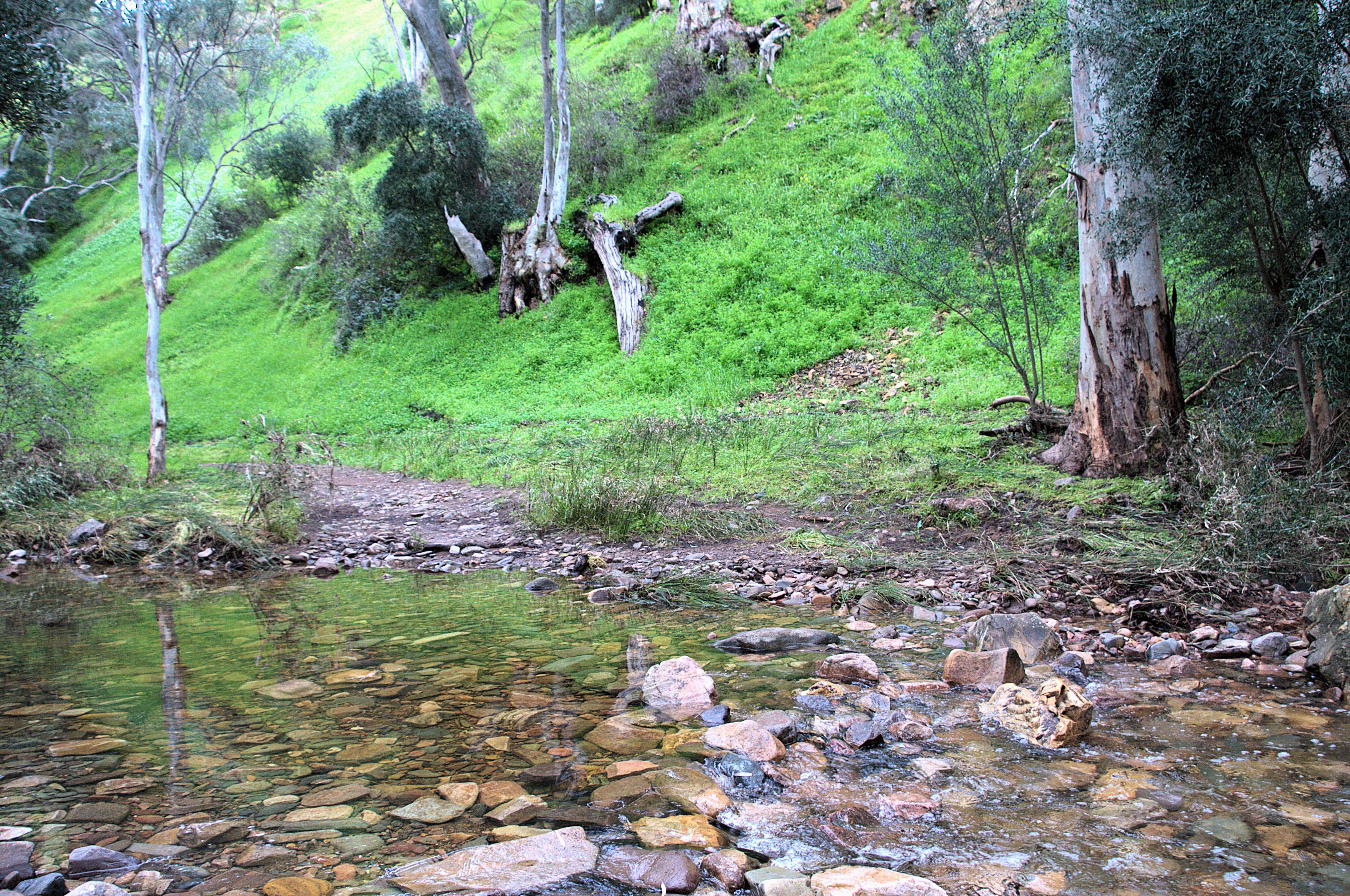 water is pooling in a creek