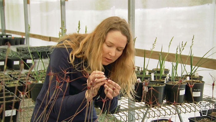 Woman in greenhouse holding a flower