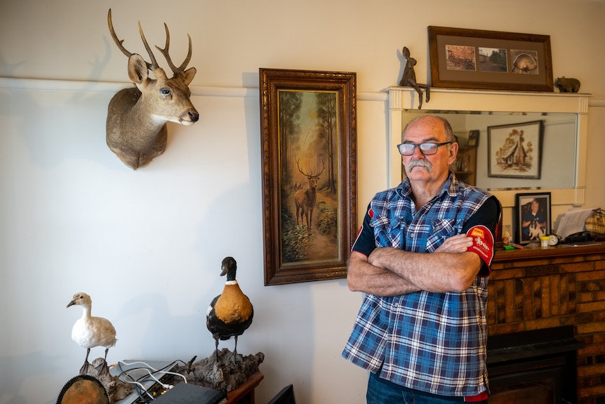 A person stands in their loungeroom with taxidermy animals around them.