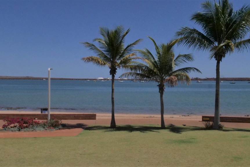 dampier foreshore with palm trees