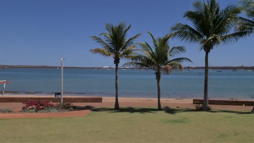 A foreshore featuring palm trees in front of a calm, sheltered ocean on a sunny day.