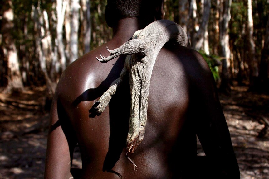 Marcus Gaykamangu carries a goanna