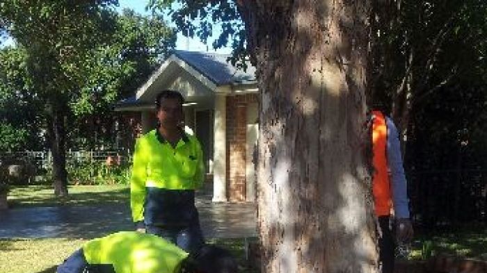 Workers prepare for NBN rollout