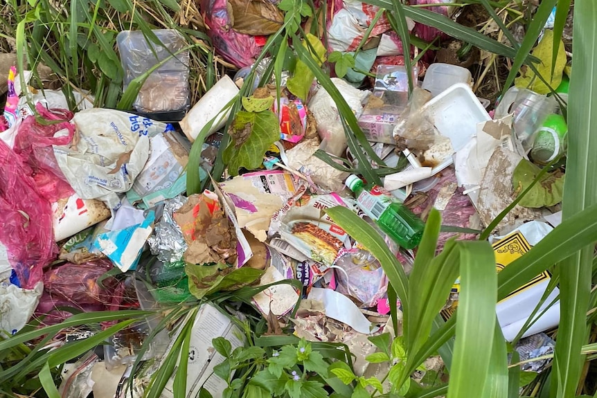 A pile of litter dumped in bushland in Townsville. 