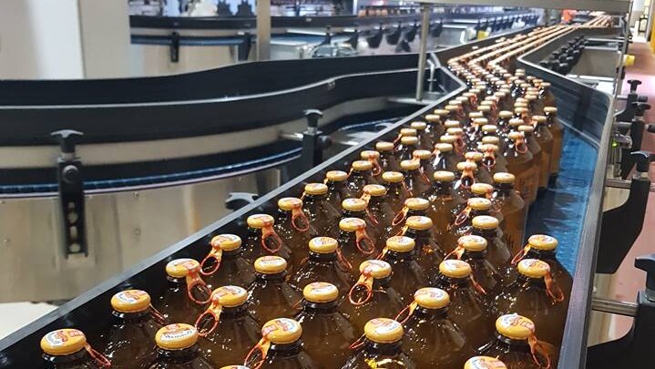 Bottles of ginger beer on the production line at the factory in Bundaberg.