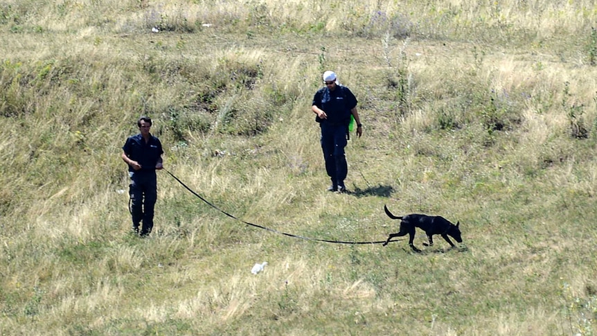 Experts examine the area of the Malaysia Airlines Flight 17 plane crash in the village of Hrabove (Grabovo), some 80km east of Donetsk, on August 2, 2014.