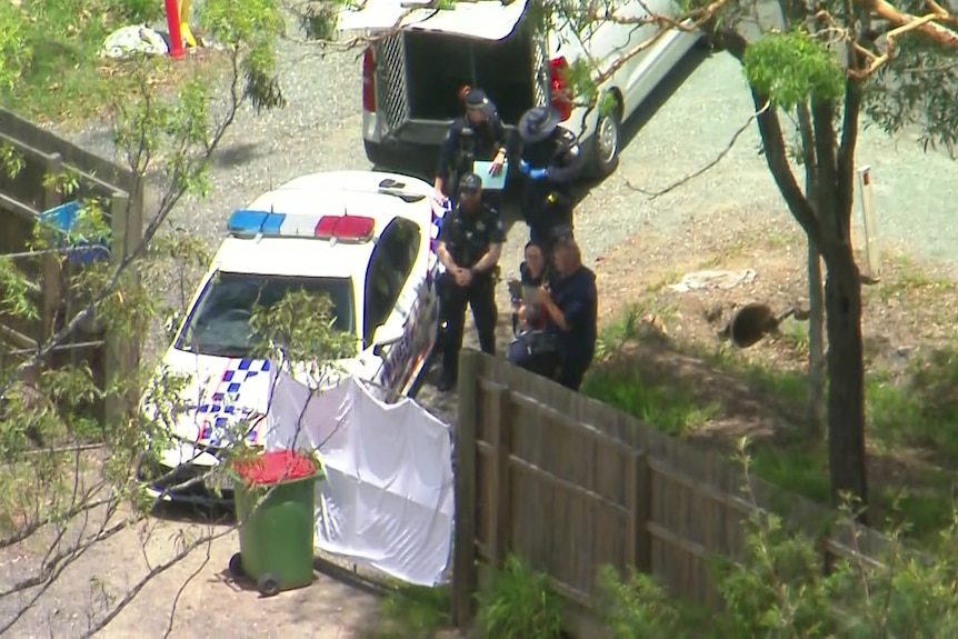 Police cars and a sheet shielding something. 