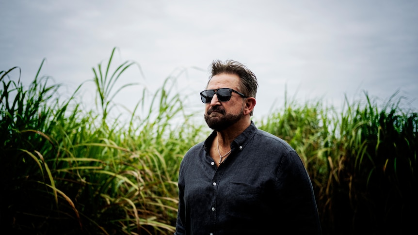 Man wearing sunglasses standing amongst lush green sugar cane plants.