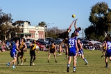 Mines Rovers and Boulder contest the 2016 Goldfields Football League Grand Final