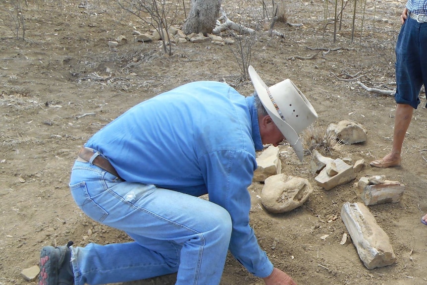 Mr Robert Hacon uncovering the mandible of the Kronosaurus.