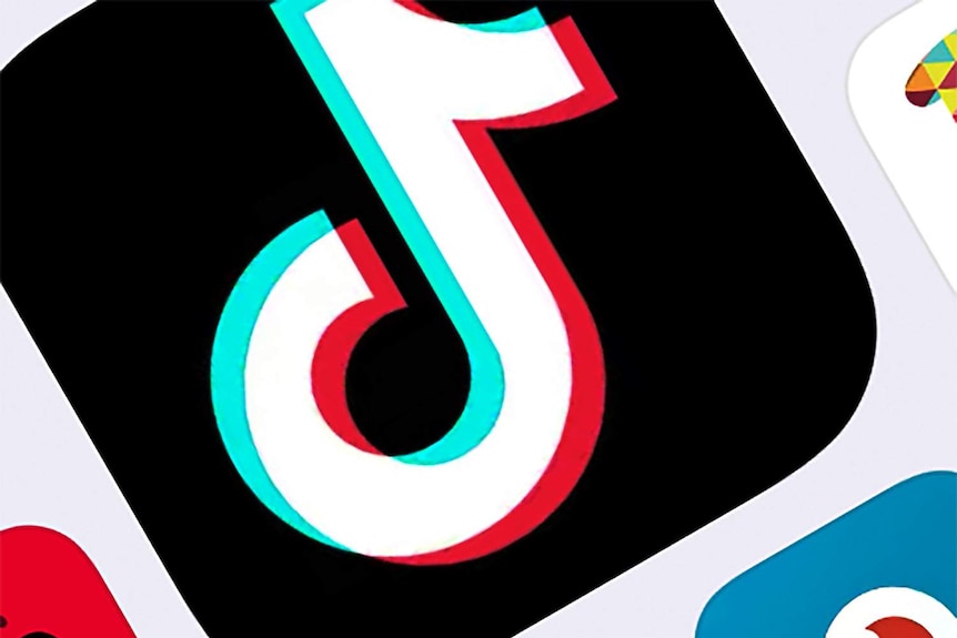 L'icona dell'app TikTok viene visualizzata sullo schermo.