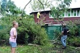 Removing tree from fence