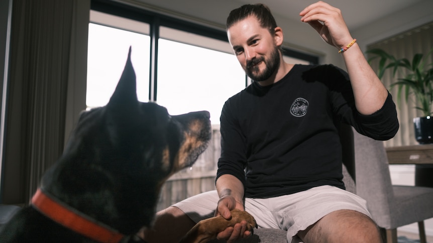  A man sits on a chair with a black kelpie in front of him. The dog has placed his paw in the man's hand.