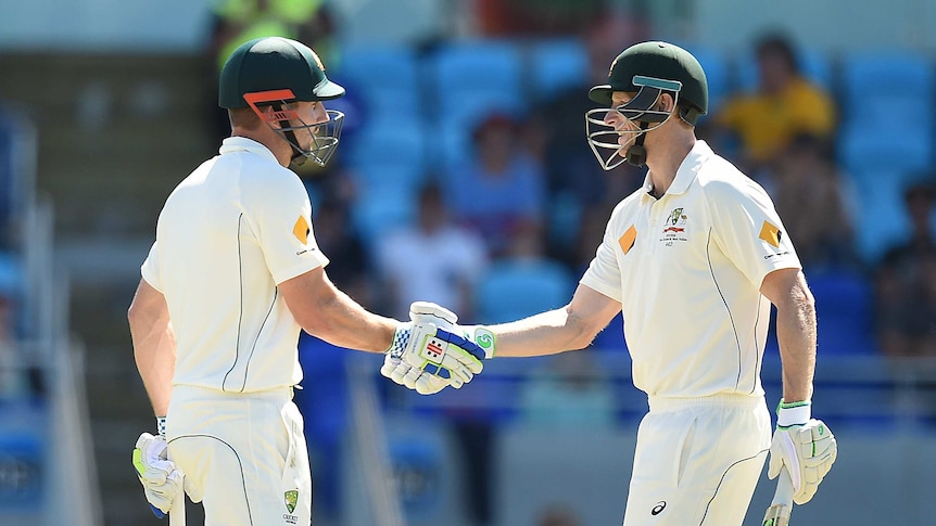 Voges congratulates Shaun Marsh on half century