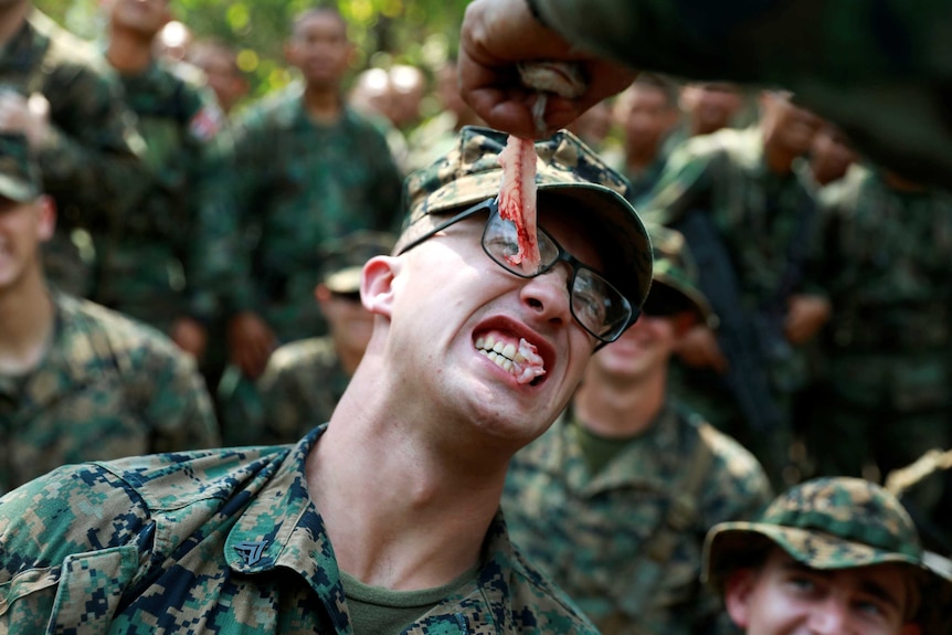 A soldier is fed a gecko during the Cobra Gold multilateral military exercise