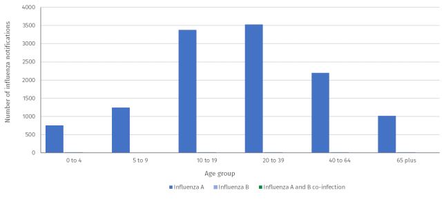 Chart showing influenza notifications in 2022 by age group to May 29. 10 to 19 and 20 to 39 the highest