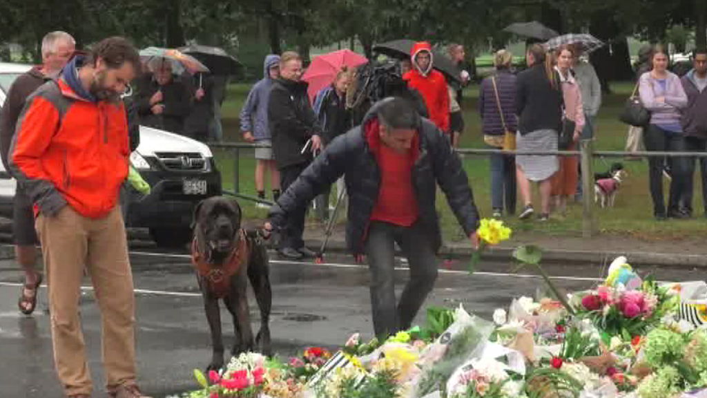 Play Video. Duration: 51 seconds