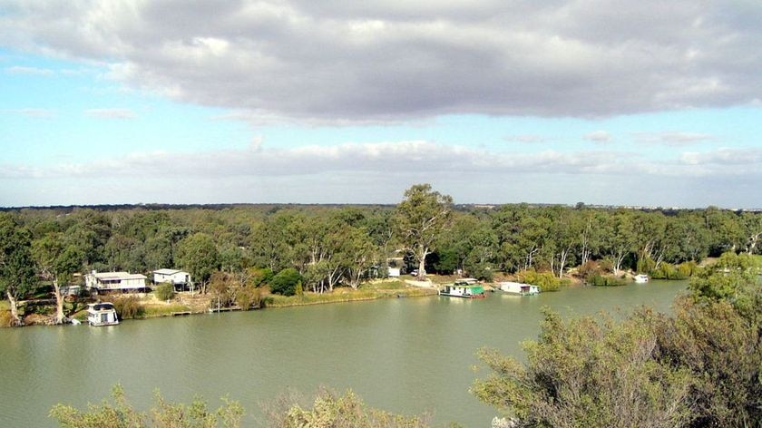 River Murray (file photo)
